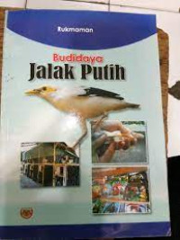 Budidaya Jalak Putih